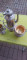 Foto  - 1