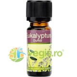Ulei Parfumat Aromaterapie Eucalipt 10ml