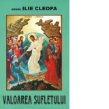 Valoarea sufletului - Arhim Ilie Cleopa