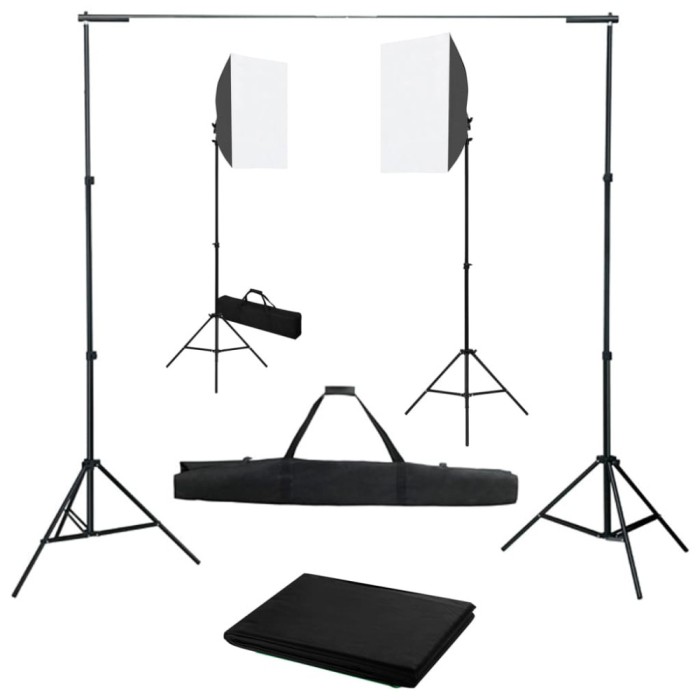 vidaXL Kit studio foto cu lumini softbox și fundal 3055061