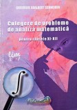 Culegere de probleme de analiza matematica pentru clasele XI-XII - Gheorghe Adalbert Schneider