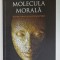 MOLECULA MORALA , SURSA IUBIRII SI A PROSPERITATII de PAUL J. ZAK , 2014