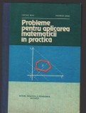 C8776 PROBLEME PENTRU APLICAREA MATEMATICII IN PRACTICA - CERCHEZ MIHU, DANET