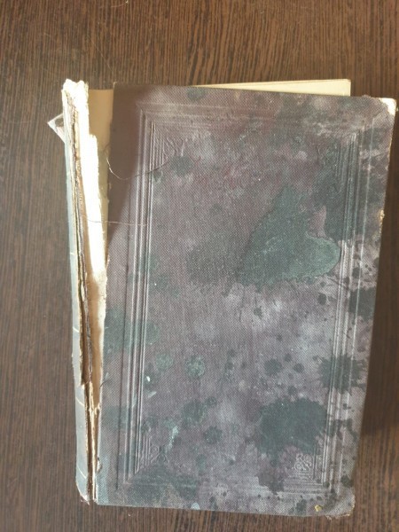 Scrierile lui Radu Cristescu