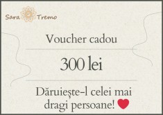Voucher cadou 300 lei