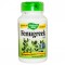 FENUGREEK 100cps SECOM