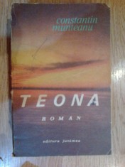e1 TEONA - CONSTANTIN MUNTEANU foto