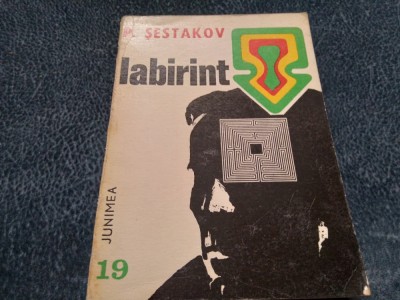 P SESTAKOV - LABIRINT foto