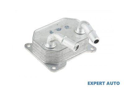 Radiator ulei Ford S-Max (2006-&amp;gt;) #1 foto