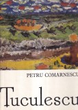 Carte Istoria Artei Petru Comarnescu - Tuculescu, Meridiane, 1974, 24x30 cm, Cartonate, Romana