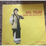 Vinil 2 Vinyl Electrecord Mina Paslaru