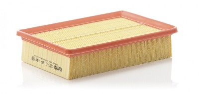 Filtru Aer Mann-Filter C25100 foto