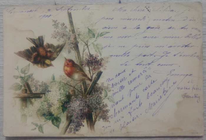 Carte postala circulata de la Comanesti la Focsani, 1900// scrisa in franceza