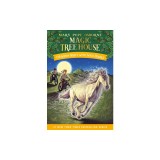 Windy Night with Wild Horses