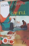 CAMINUL-OCTAVIAN MIHAESCU