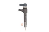 Injector VW LT II platou / sasiu (2DC, 2DF, 2DG, 2DL, 2DM) (1996 - 2006) BOSCH 0 445 110 081