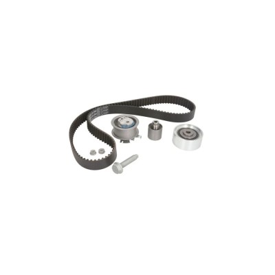 Kit distributie AUDI A6 Avant 4F5 C6 DAYCO KTB441 foto