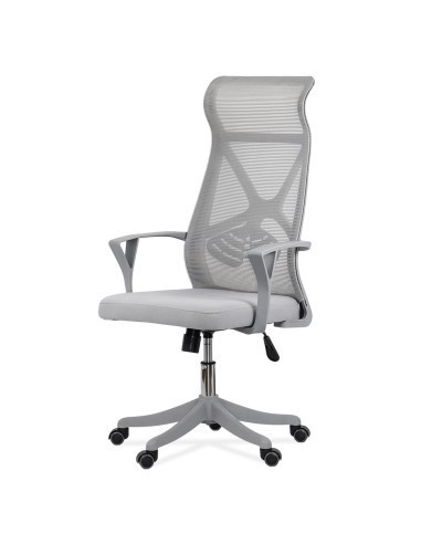 Scaun de birou ergonomic OFF 431, mesh, suport lombar, mecanism de inclinare, roti gumate, cadru polipropilena, 100 kg