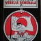 Ion Cristoiu - Veselia generala