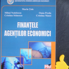 Finantele agentilor economici Oana Preda Mihai Nedelescu Marin Tole