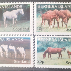 Bernera Island 1981 animale cai serie 4v. Mnh