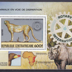 DB1 Fauna Africana Africa Centrala Ghepard Rinocer SS MNH