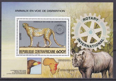 DB1 Fauna Africana Africa Centrala Ghepard Rinocer SS MNH foto