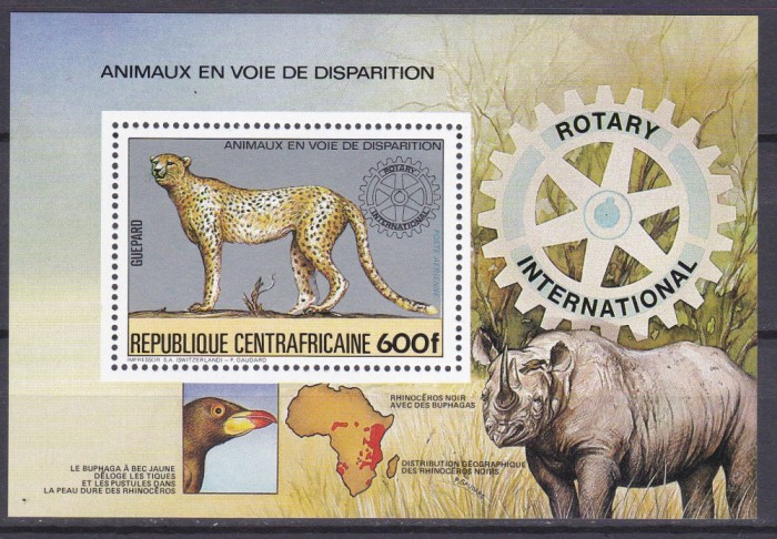 DB1 Fauna Africana Africa Centrala Ghepard Rinocer SS MNH