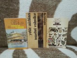 TEMPLUL DE AUR/TUMULTUL VALURILOR/DUPA BANCHET-YUKIO MISHIMA (3 VOL)
