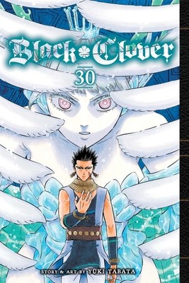 Black Clover, Vol. 30: Volume 30 foto