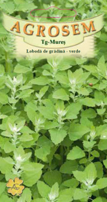 LOBODA DE GRADINA VERDE 0.4 gr foto