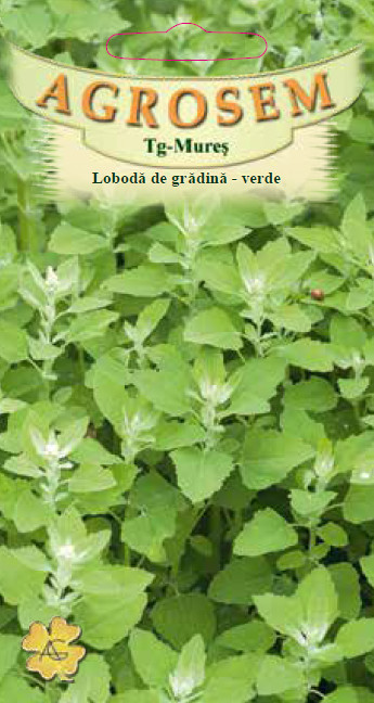 LOBODA DE GRADINA VERDE 0.4 gr