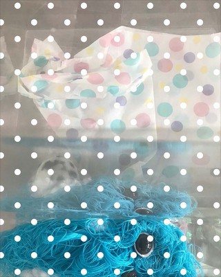 Liz Magor: Blowout foto