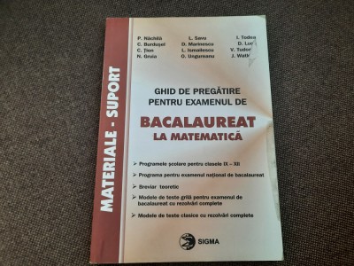 GHID DE PREGATIRE PENTRU EXAMENUL DE BACALAUREAT 2003 PETRE NACHILA foto