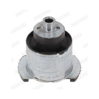 Moog suport, ax foto