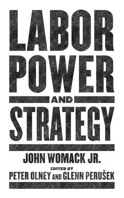 Labor Power and Strategy foto
