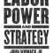 Labor Power and Strategy