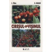 Lenuta Chira - Cireșul și vișinul