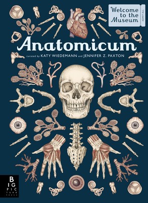 Anatomicum: Welcome to the Museum foto