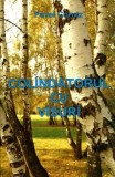 Colindatorul cu visuri Paperback brosat Roman Pavel Corut Beletristica