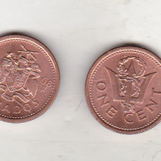 bnk mnd Barbados 1 cent 2008 unc