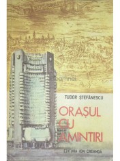 Tudor Stefanescu - Orasul cu amintiri (Editia: 1979) foto