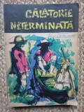 Brian Fawcett - Călătorie neterminată