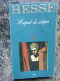 Hermann Hesse - Lupul de stepă