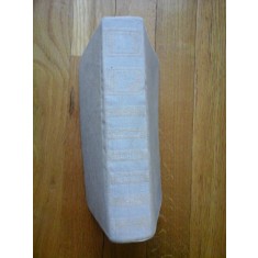 DICTIONAR ROMAN FRANCEZ - ANA CANARACHE
