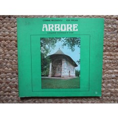 Arbore - Corina Nicolescu, Ion Miclea - Monument Historique, Bucuresti 1978, Franceza, Carte Religioasa