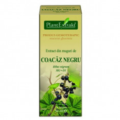 Extract muguri coacaz negru 50 ml - Plant Extract TM foto