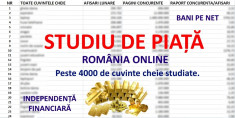 Studiu de Pia?a Online Romania. Bani pe Net - Afaceri Online foto