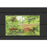 BRAZILIA 2013 FAUNA INSECTE FURNICI