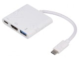 Adaptor USB 3.0/3.1 200mm Alb